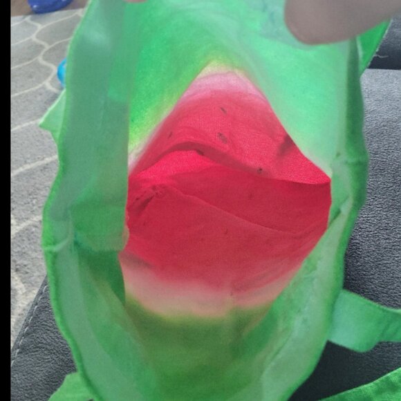 Small Tote bag watermelon themed. - Picture 3 of 3
